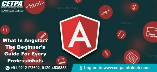 Angular Training Course in Delhi