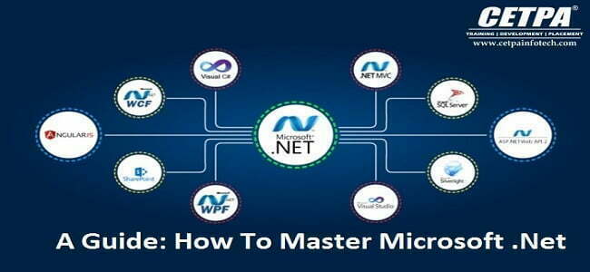 Best .Net Training Institute In Noida