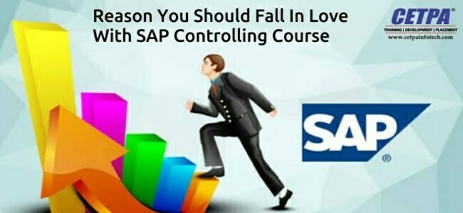 sap controlling training in noida