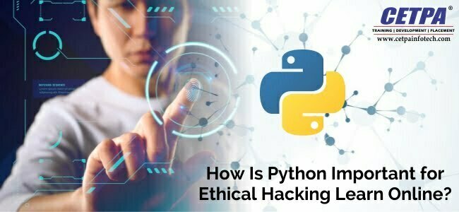 python and ethical hacking online training