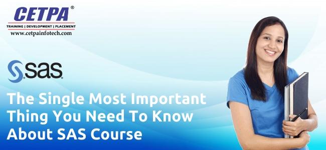 THE SINGLE MOST IMPORTANT THING YOU NEED TO KNOW ABOUT SAS COURSE