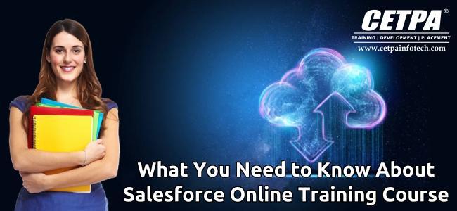 What You Need to Know About Salesforce Online Training Course (1)