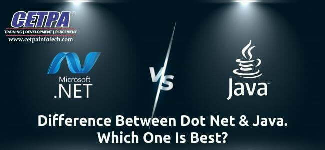 dot net vs java online course