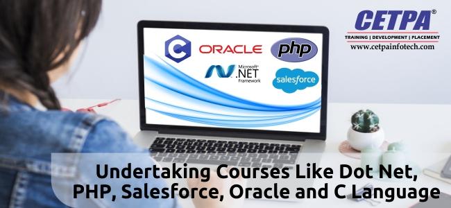 dot net online training course