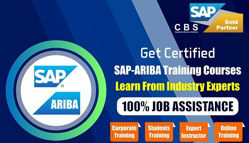Sap ARIBA Online Training Institute in Noida