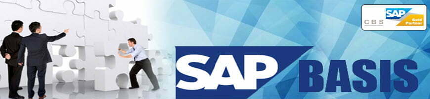 best SAP Basis training in Noida best SAP Basis training in Noida