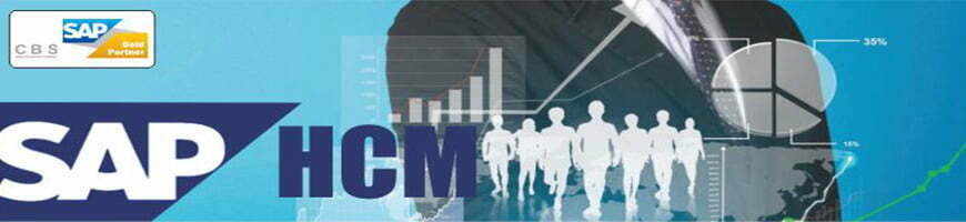 Best Online SAP HCM training in Noida Best Online SAP HCM training in Noida