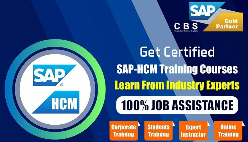 Sap HCM Online Training Institute in Noida