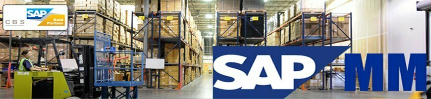 best SAP MM training in Noida best SAP MM training in Noida