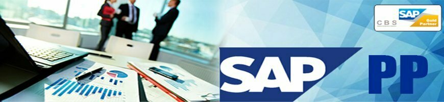 best SAP PP training institute in Noida best SAP PP training institute in Noida