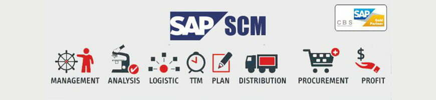 Online SAP SCM Training in Noida Online SAP SCM Training in Noida