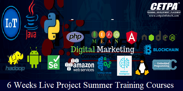 6 Weeks Live Project Summer Training Courses