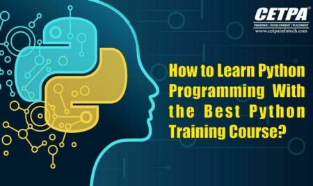 How to Learn Python Programming With the Best Python Training Course?