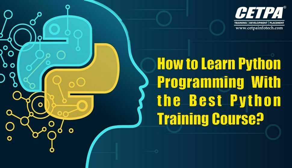 How to Learn Python Programming With the Best Python Training Course?