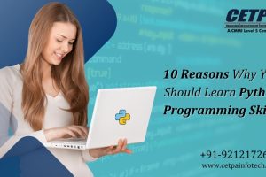 10 Reasons Why You Should Learn Python Programming Skills