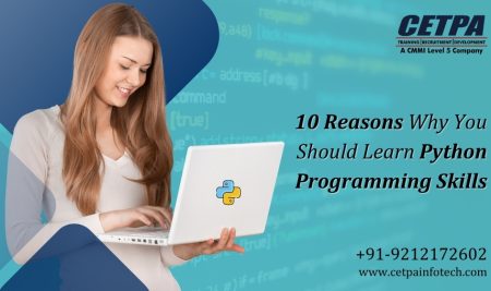 10 Reasons Why You Should Learn Python Programming Skills