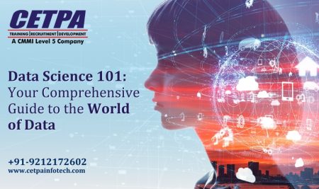 Data Science 101: Your Comprehensive Guide to the World of Data