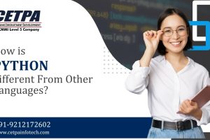How is Python different From Other Languages